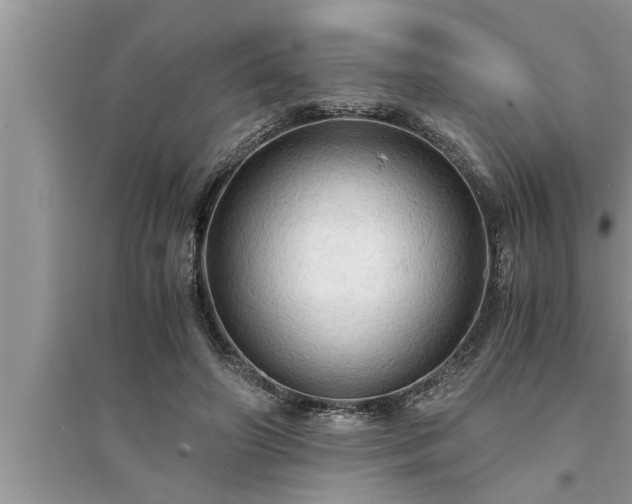 X0000095520498200712211306