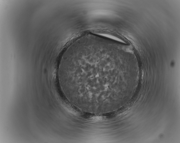 X0000095520499200712211306