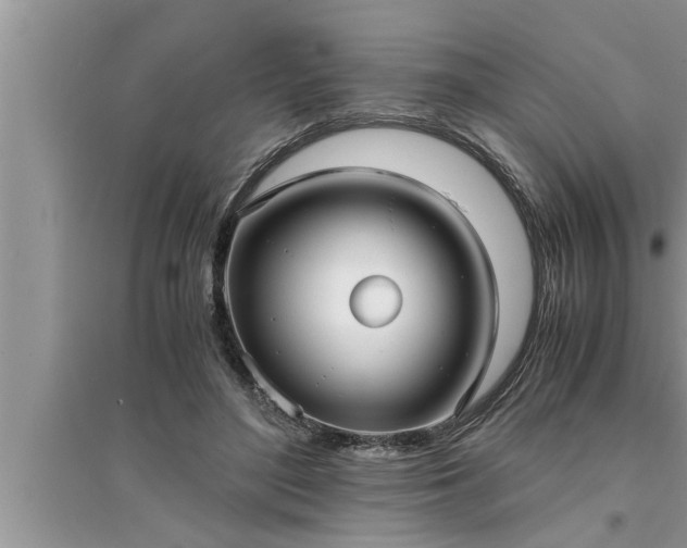 X0000095520500200712211306