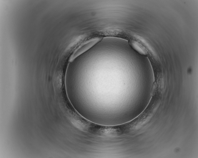 X0000095520501200712211306