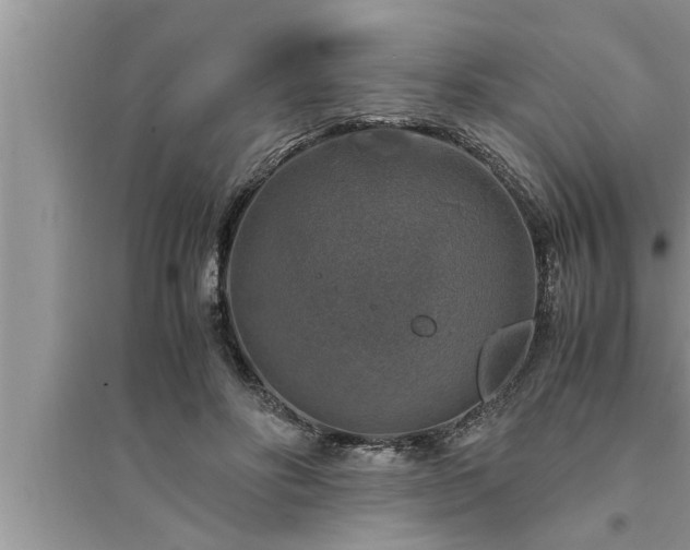 X0000095520502200712211306