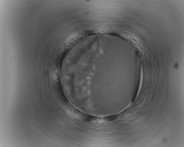 X0000095520503200712211306