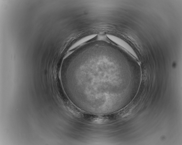 X0000095520504200712211306