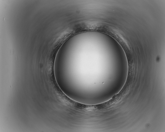 X0000095520505200712211306