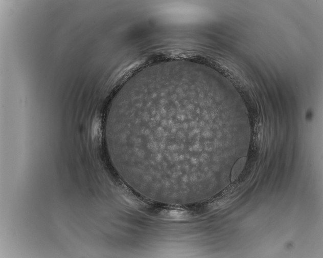 X0000095520506200712211306