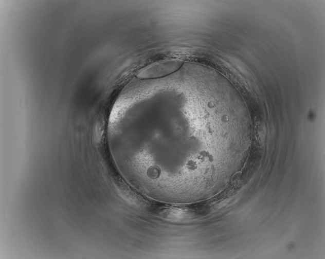 X0000095520507200712211306