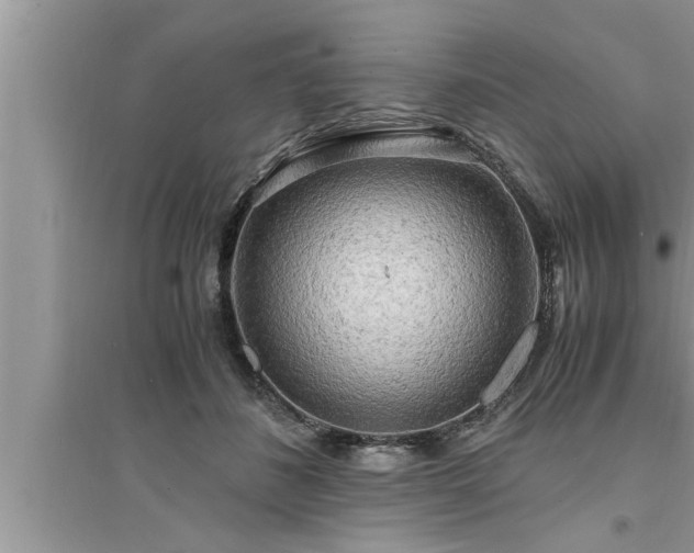 X0000095520508200712211306