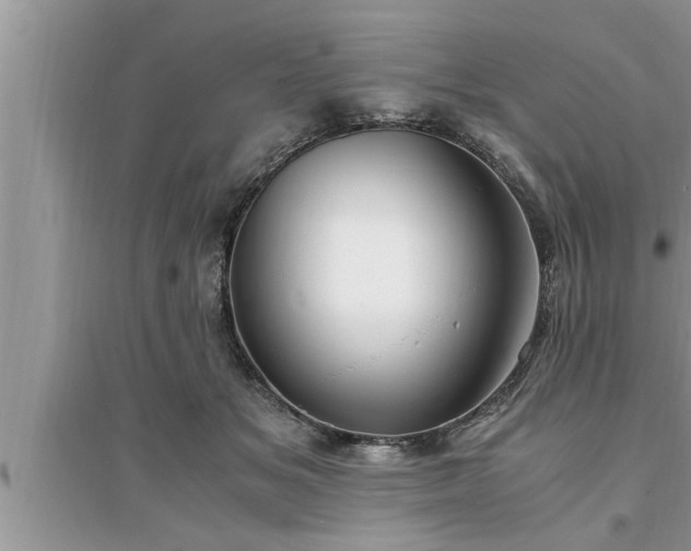 X0000095520509200712211306