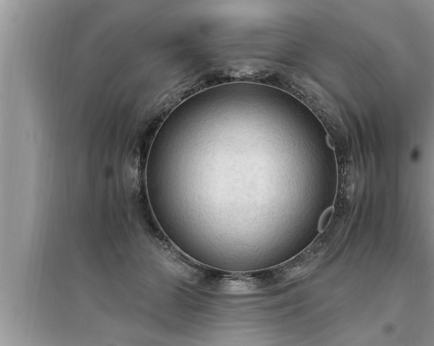 X0000095520510200712211306