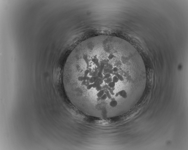 X0000095520511200712211306