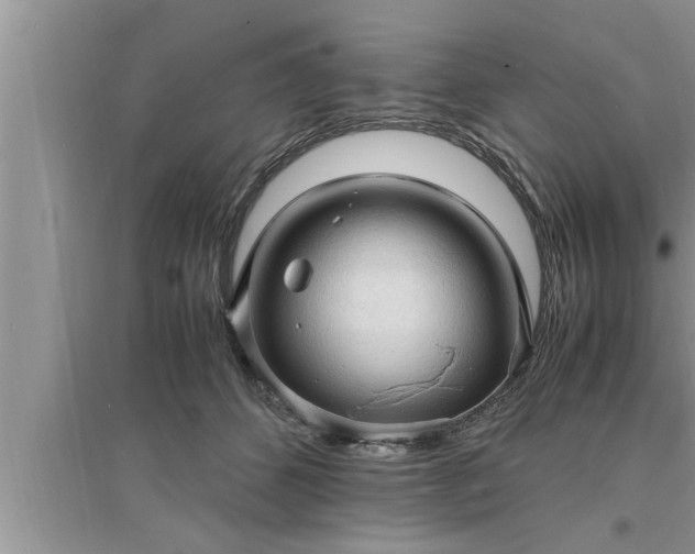 X0000095520512200712211306