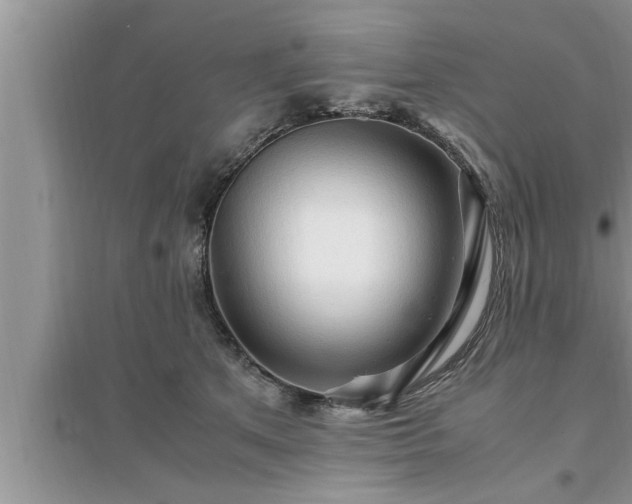 X0000095520513200712211306