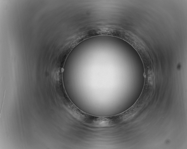 X0000095520514200712211306