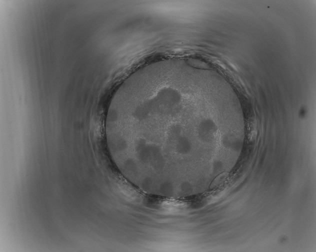 X0000095520515200712211306