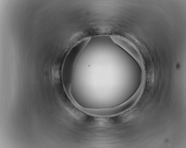 X0000095520516200712211306