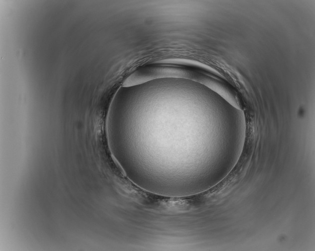 X0000095520517200712211305