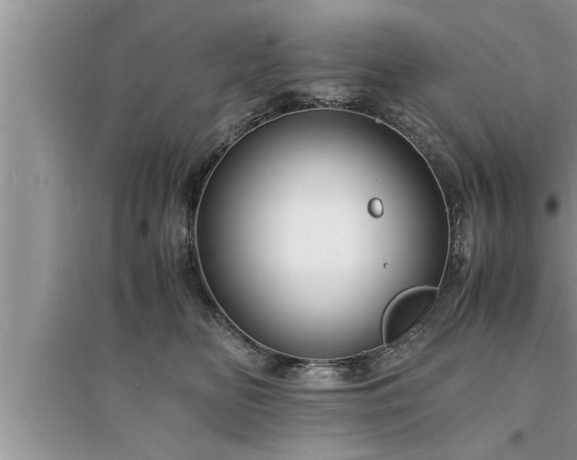 X0000095520518200712211305