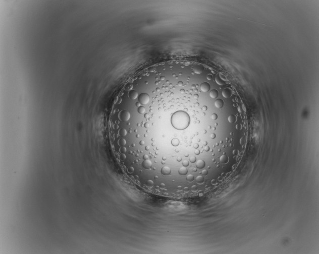 X0000095520519200712211305