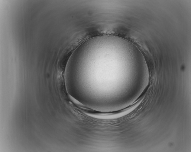 X0000095520521200712211305