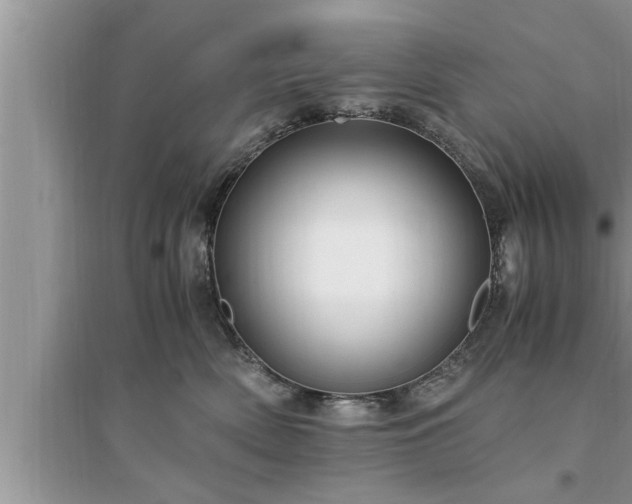 X0000095520522200712211305