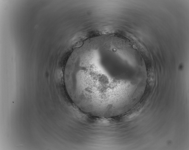 X0000095520523200712211305