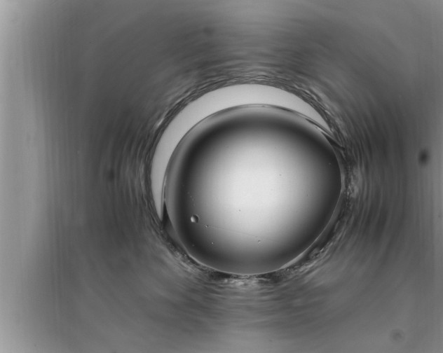 X0000095520524200712211305