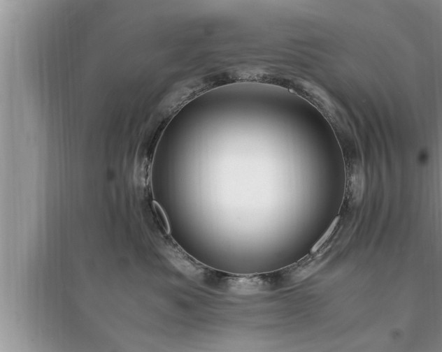 X0000095520525200712211305