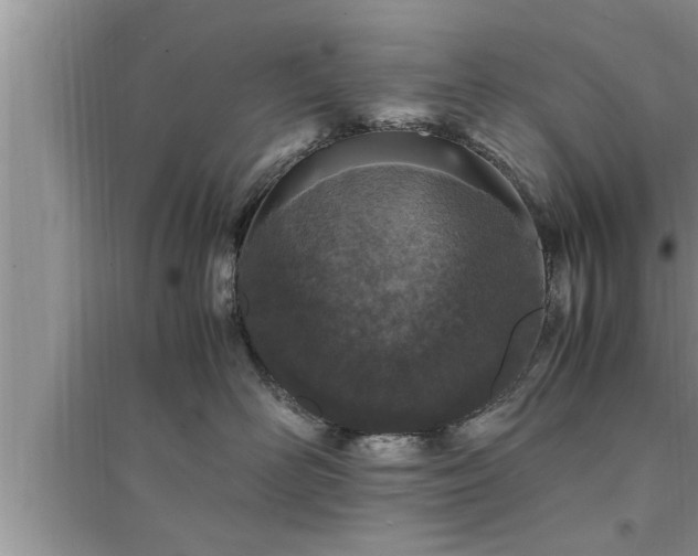 X0000095520526200712211305