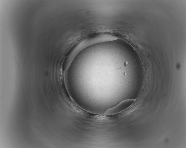 X0000095520528200712211305