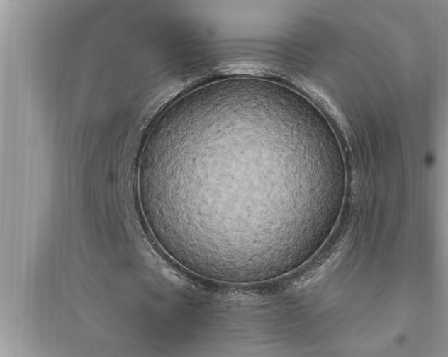 X0000095520529200712211305