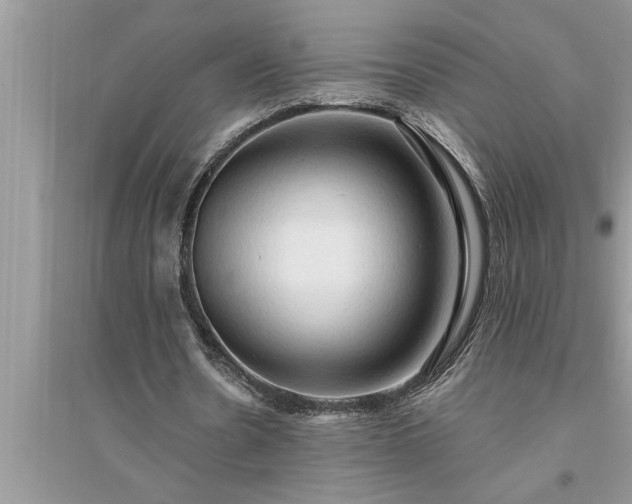 X0000095520530200712211305