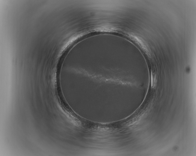 X0000095520531200712211305