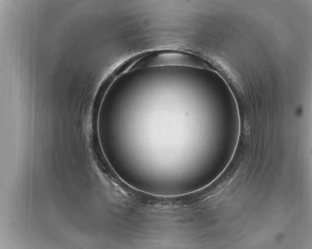 X0000095520532200712211305