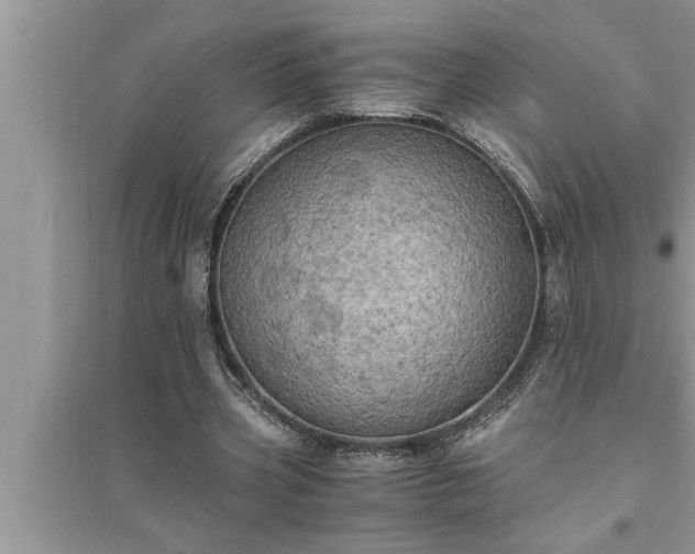 X0000095520533200712211305