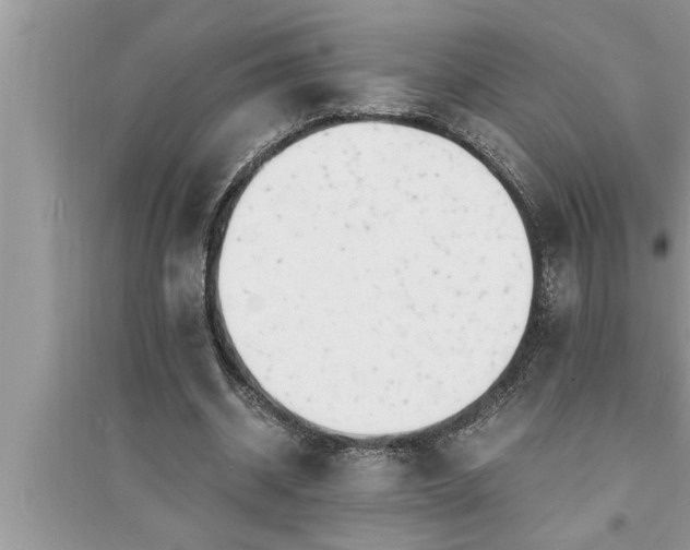 X0000095520534200712211305