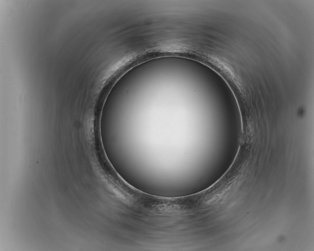 X0000095520535200712211305