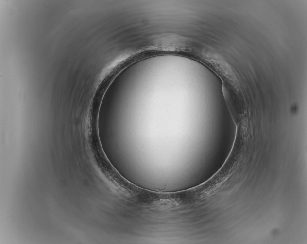 X0000095520536200712211305