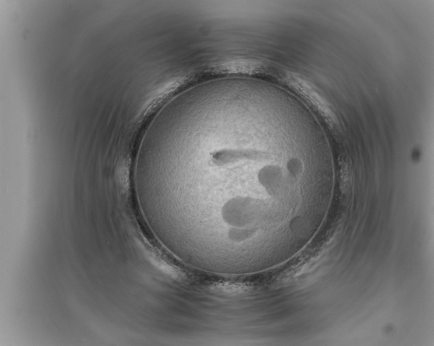 X0000095520537200712211305