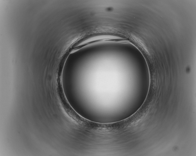 X0000095520538200712211305