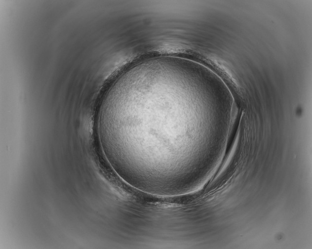 X0000095520539200712211305