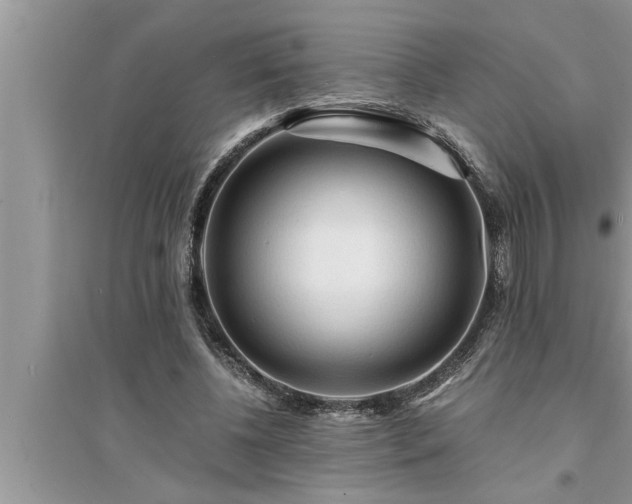 X0000095520540200712211305