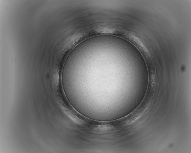 X0000095520541200712211305