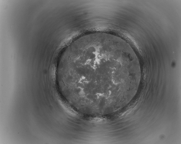 X0000095520542200712211305