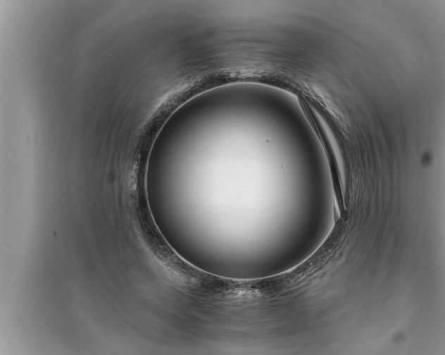 X0000095520543200712211305