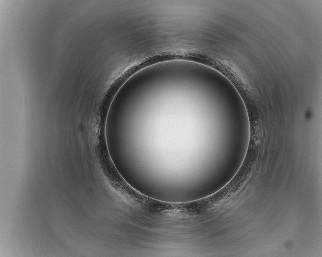 X0000095520544200712211305