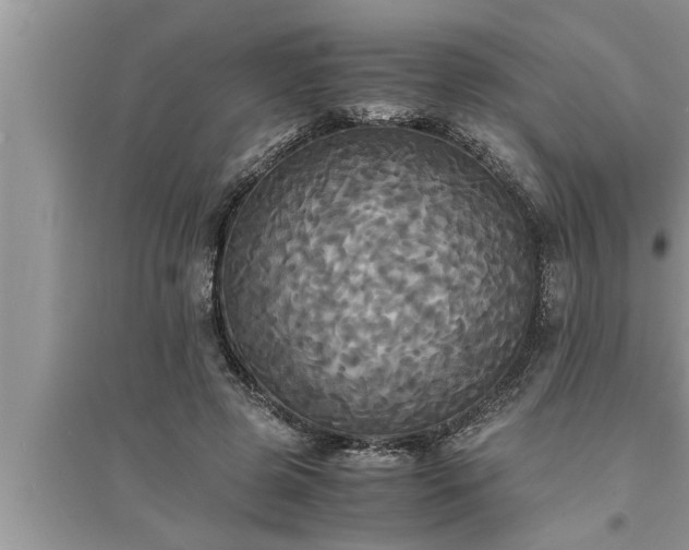 X0000095520545200712211305