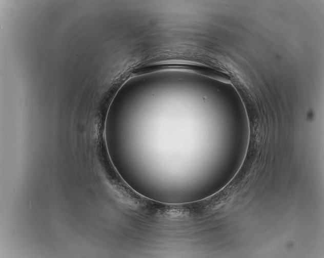 X0000095520546200712211305