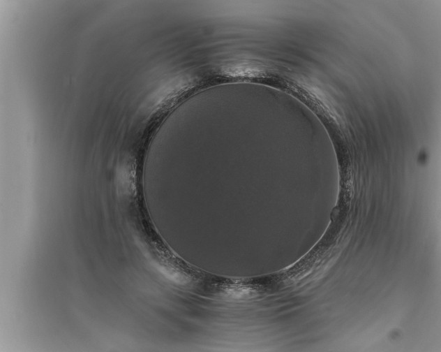 X0000095520547200712211305