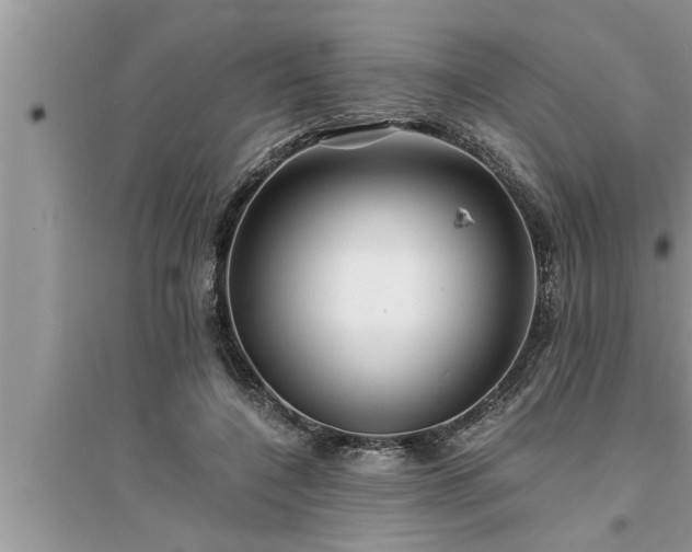 X0000095520548200712211305