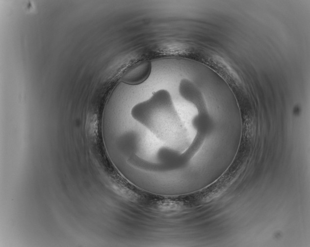 X0000095520549200712211305